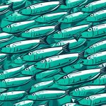 is sardine safe crypto